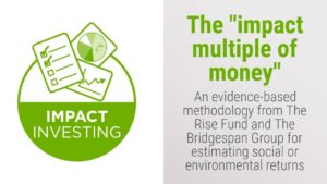 Como calcular o valor do investimento de impacto? Os métodos monetários são  os mais adequados?